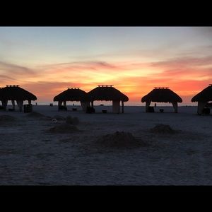 Meet your Posher, Tracey